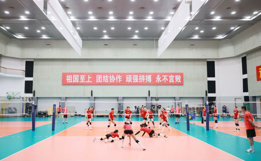 金沙城娱乐场用户评价与反馈